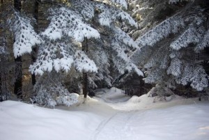 Beskid Mały - Hrobacza Łąka, Leskowiec