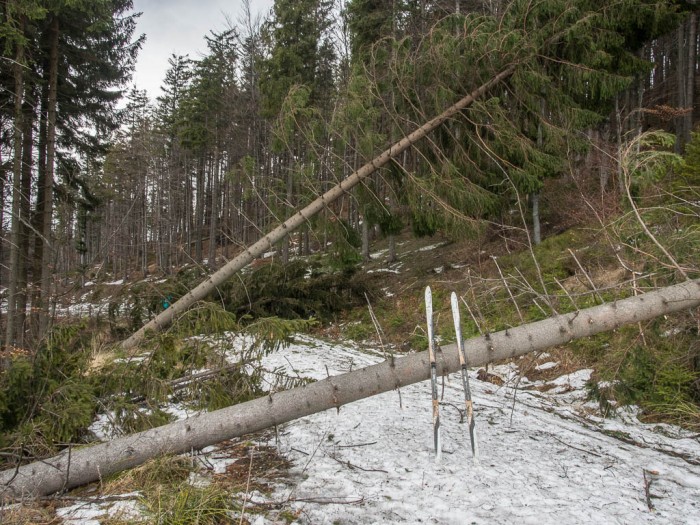 utrudnienia na szlakach w Beskidach