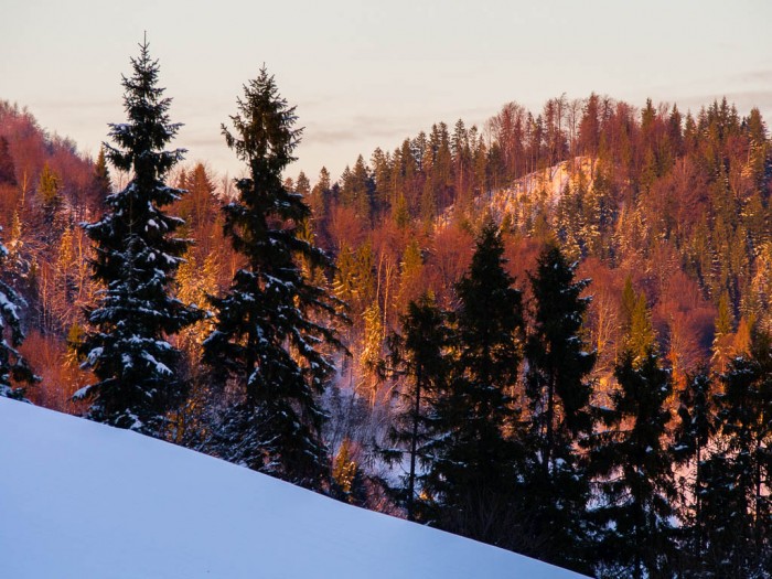 zima w Gorcach jeszcze w kolorach  jesieni