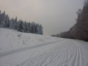 Góry Stołowe,Błędne Skały,Skalne Grzyby,Szczeliniec Wielki