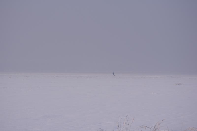 samotny narciarz biegowy, pola w okolicach Gliwic