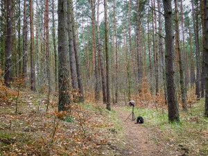 Łeba, Bałtyk, Słowiński Park Narodowy, Kaszuby