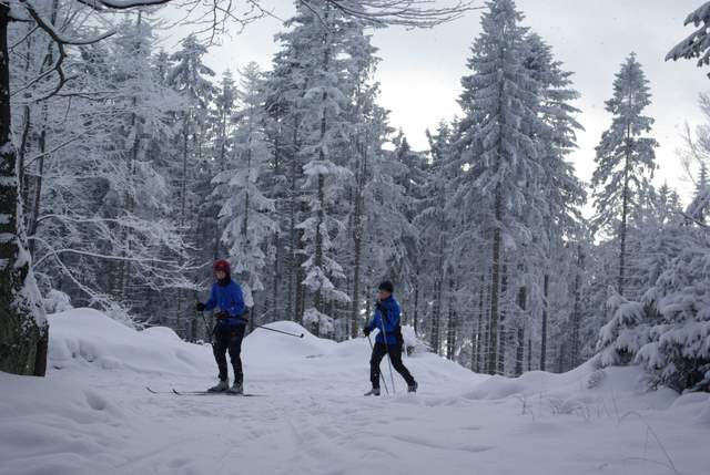 Kubalonka narciarze biegowi