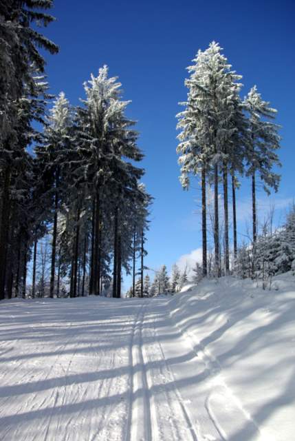 Kubalonka, tor do klasyka i do łyżwy