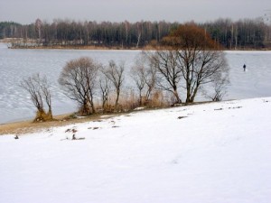 Nakło Chechło  wyscigi psich zaprzęgów