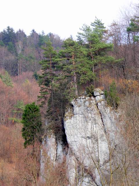 Dolina Prądnika