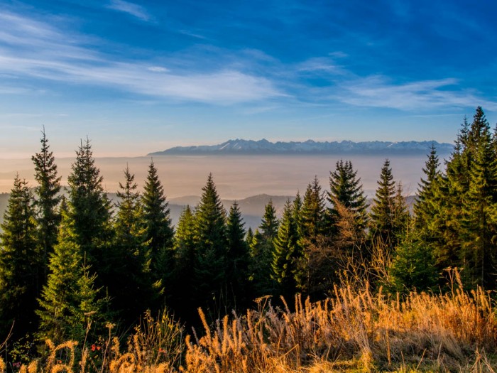 Panorama na Tatry z Turbacza