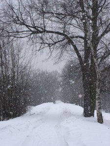 Sierakowice - Rudy Raciboskie - mala "wyrypa" narciarska